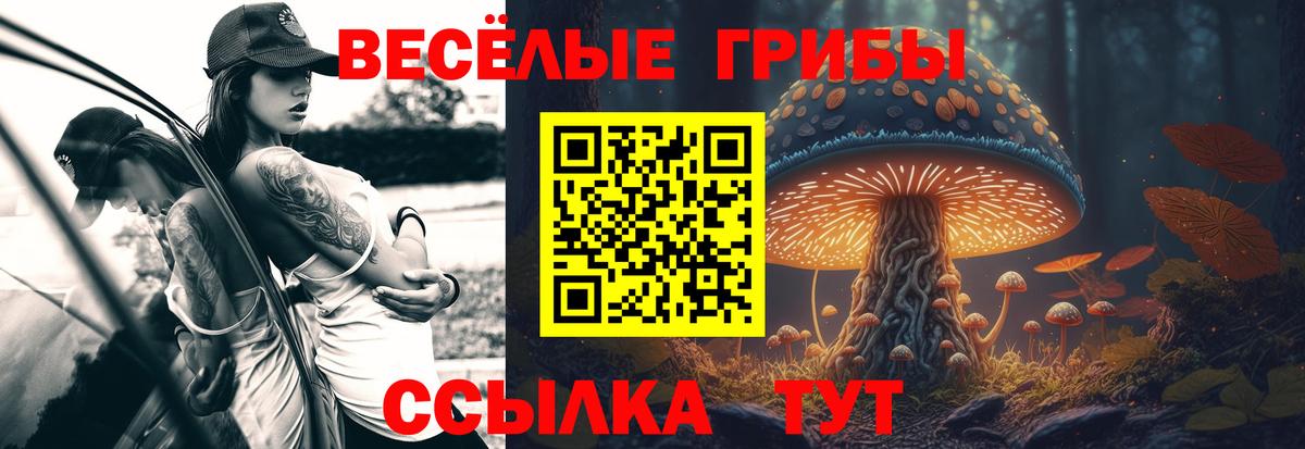 Псилоцибиновые грибы Cubensis  Псилоцибиновые грибы Psilocybine cubensis  купить наркоту  Вход с VPN  Приморско-Ахтарск 